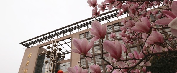 安徽工贸职业技术学院单招成绩查询时间