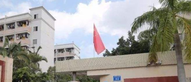 广州增城荔城中学2021年招生代码