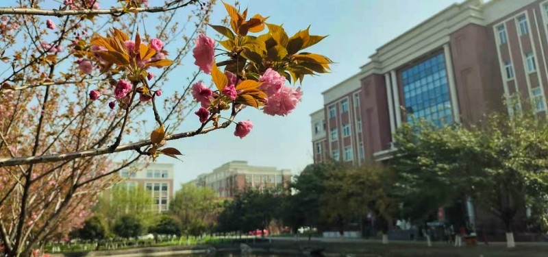 四川电影电视职业学院网站