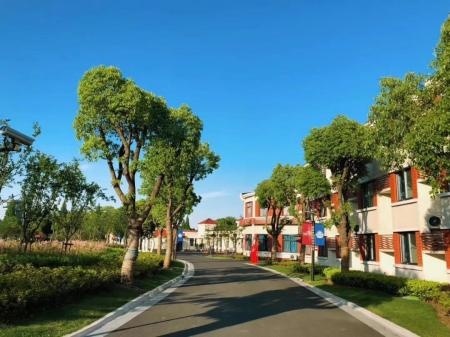 上海宏润博源学校.jpg