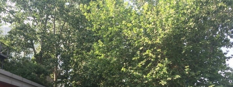 施甸县职业高级中学2022年招生简章