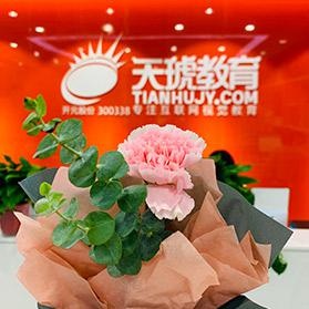 品牌展示