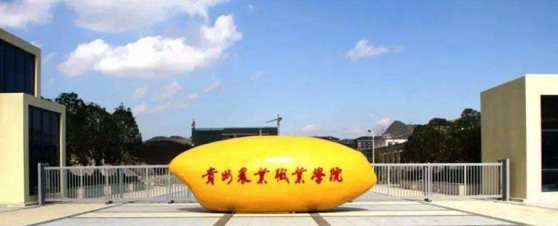 贵州电子信息职业技术学院(中职部)2022年有哪些专业