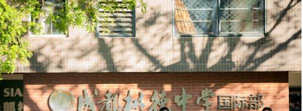 树德中学国际部2022年录取分数线