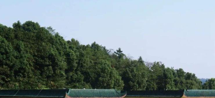 长沙麓才医药学校