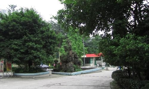 广元职业技术学校网站
