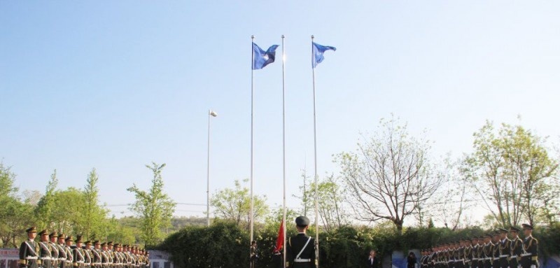 大连11