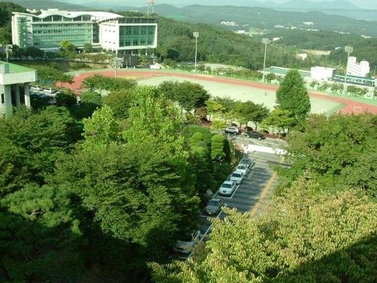 龙仁大学