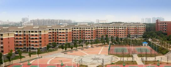 江西交通职业技术学院网站