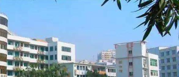 广州第四十一中学2021年学费、收费多少