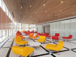 名古屋商科大学