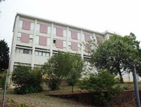 米格尔·托加高等学院