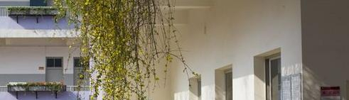 湖北艺术职业学院单招成绩查询时间