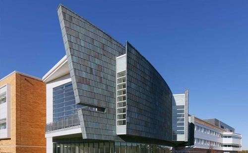 纽约州立大学石溪分校