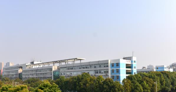 武汉软件工程职业学院2019年单招录取分数线