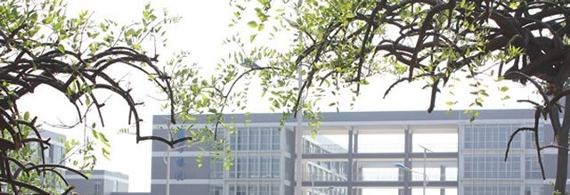 合肥职业技术学院2019年单招录取分数线