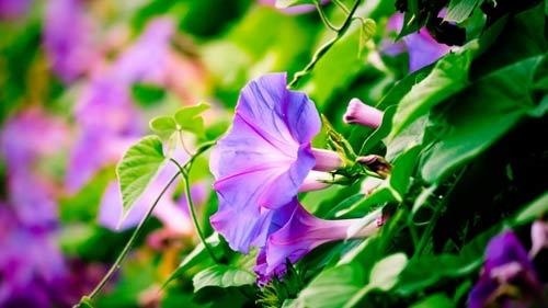 如何进行员工福利的管理