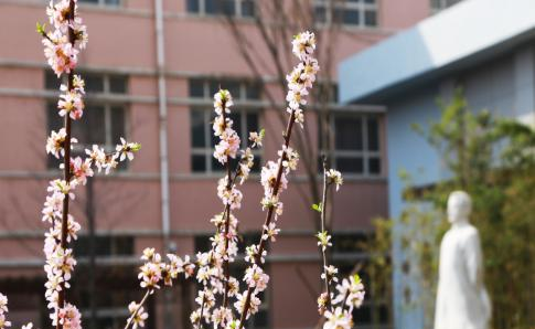 河北师范大学附属中学2020年招生代码