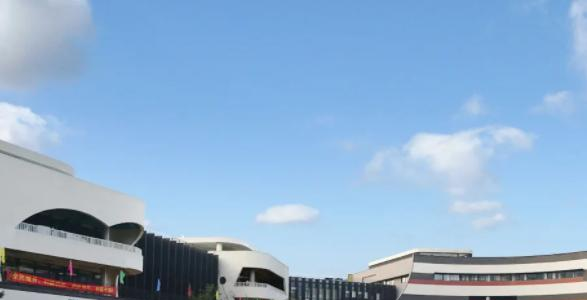 苏州科技城外国语学校小学部2023年学费标准