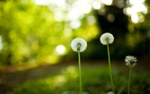 绩效管理中可能存在哪些问题