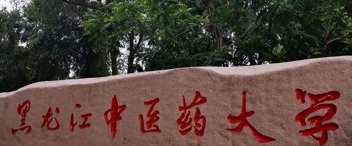 2023黑龙江中医药大学国内排名第几(全国第168名）