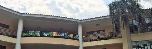 广州誉德莱国际学校高中部2020年招生简章