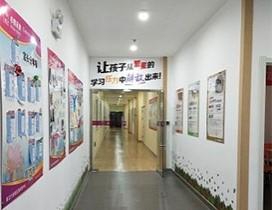 石家庄博睿德教育