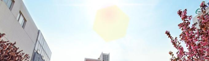 青岛市石化高级技工学校