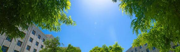 兰州外语职业学院五年制大专2020年报名条件、招生要求、招生对象