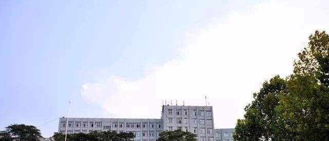 河南质量工程职业学院单招简章