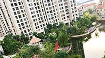 眺望校区远处的阳台外景