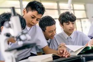 中黄外国语实验学校小学部招生简章