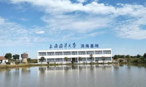 上海海洋大学全国排名及录取分数线