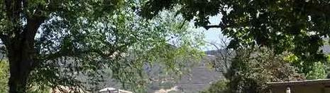 美中美育美国高中2022年入学条件