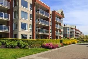 君诚国际双语学校校园