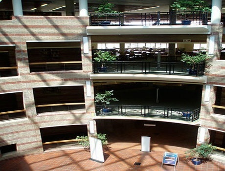 西开普大学