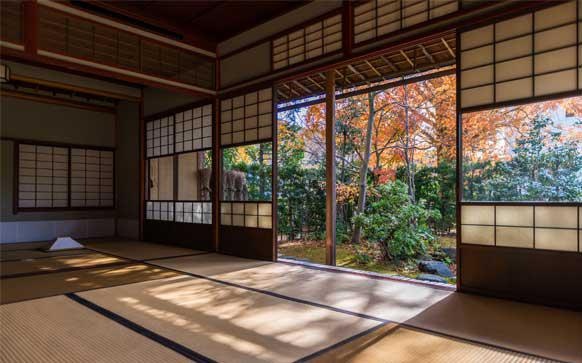 如何快速掌握培训技巧