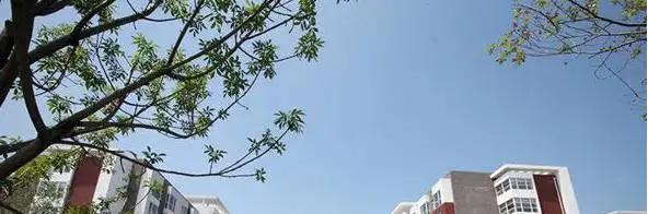 北京第八中学怡海分校（国际部）小学部2023年入学考试