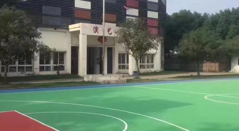 金华艺术学校2023年招生录取分数线