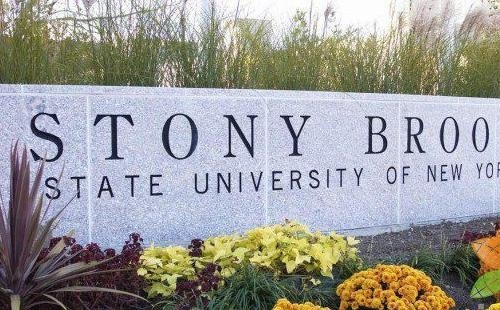 纽约州立大学石溪分校