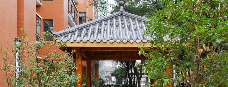 长沙十五中国际部2020年招生办