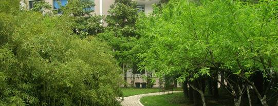 南京市金陵中学2020年招生代码