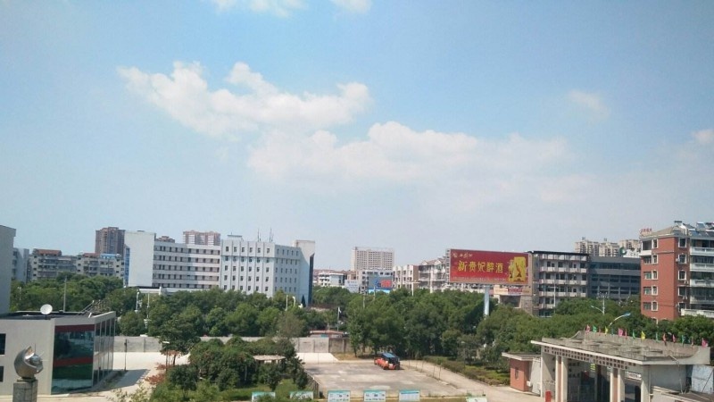 汉川中等职业技术学校2020年有哪些专业