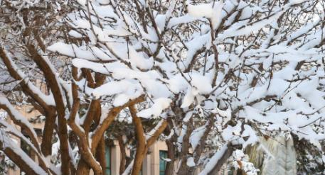 兰州资源环境职业技术学院五年制大专2020年招生办