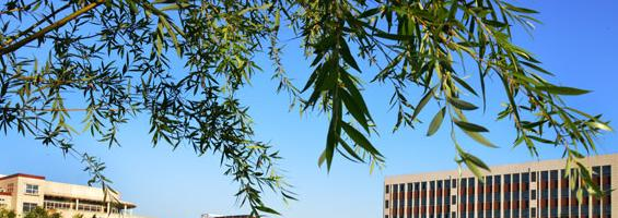 池州市贵池区职业学校
