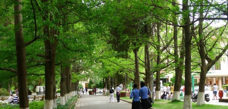 青岛商务学校