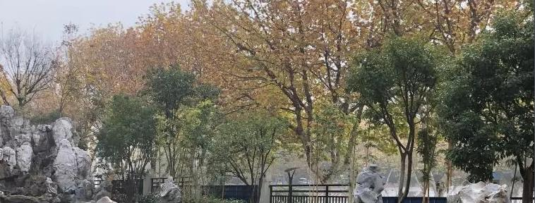 南京栖霞中学2021年招生计划