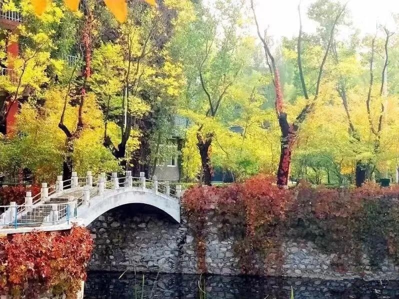 橘郡美高国际学校
