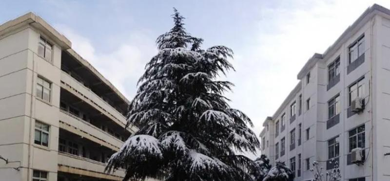 苏州市彩香实验中学校怎么样、好不好(2023参考)