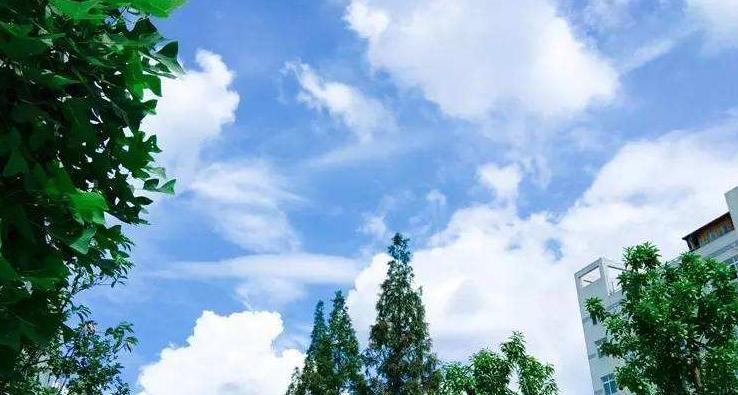 温州科技职业学院是几专